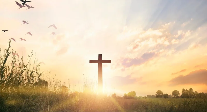 Cross-Border Activity: Impact, Definition, and Global Benefits